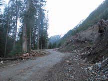 A LINE RUNS THROUGH IT: The Plutonic power line runs alongside a portion of the Goat 2 road. (photo by Eagle Walz)